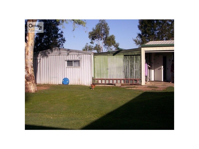 Capella QLD 4723