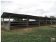 Capella QLD 4723