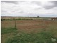 Capella QLD 4723