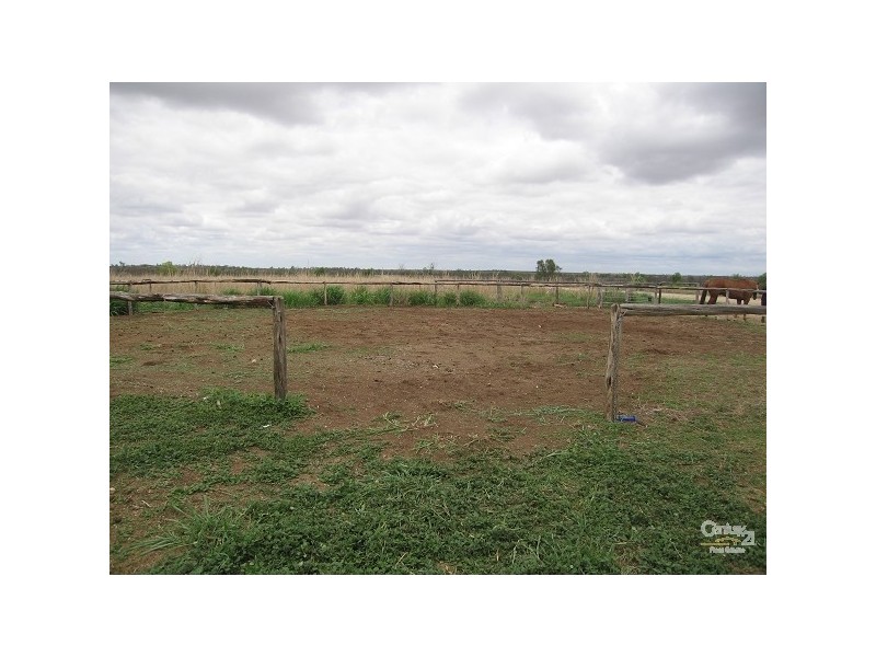 Capella QLD 4723