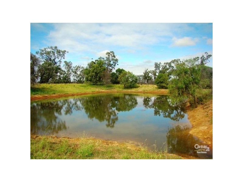Capella QLD 4723