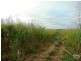 Capella QLD 4723