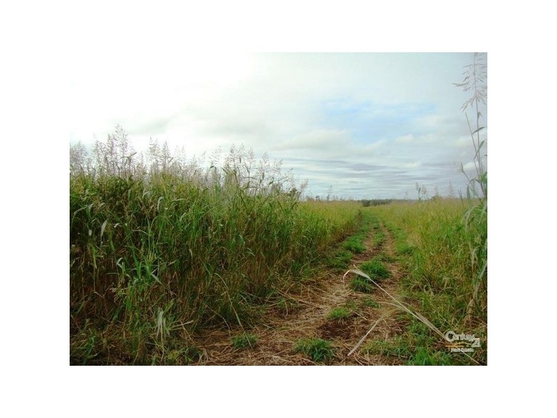 Capella QLD 4723