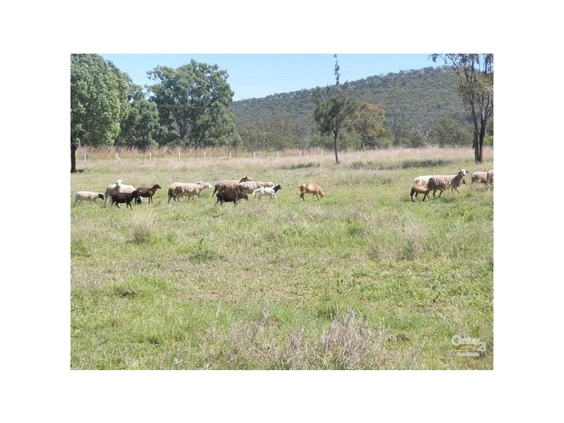 Mount Morgan QLD 4714