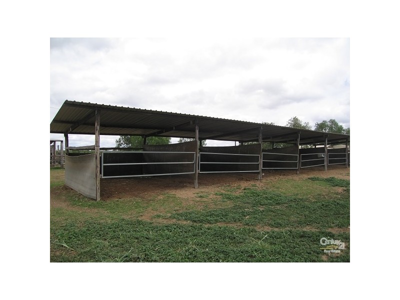 Capella QLD 4723
