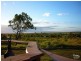 Capella QLD 4723