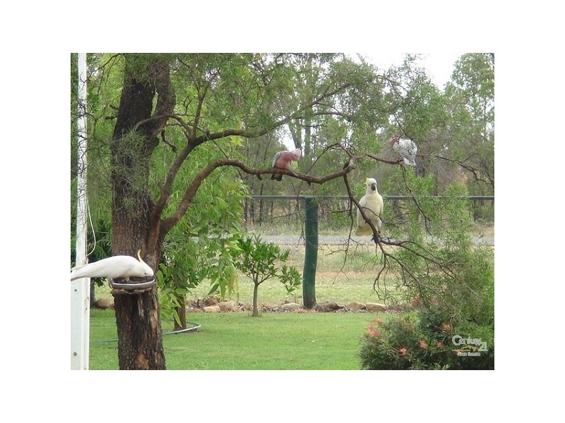 Sapphire QLD 4702