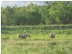 Emerald QLD 4720