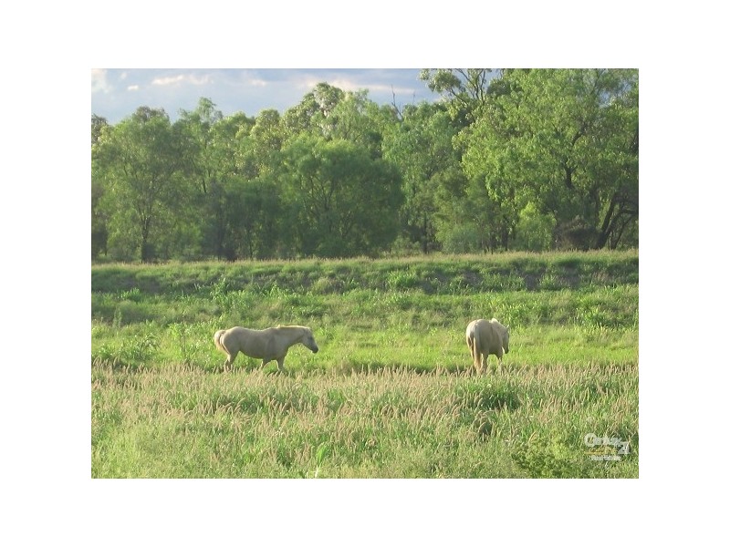 Emerald QLD 4720