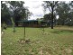 58 Goanna Flats Road, Rubyvale QLD 4702