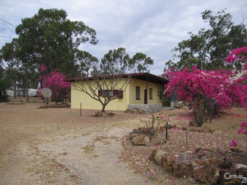 Sapphire QLD 4702