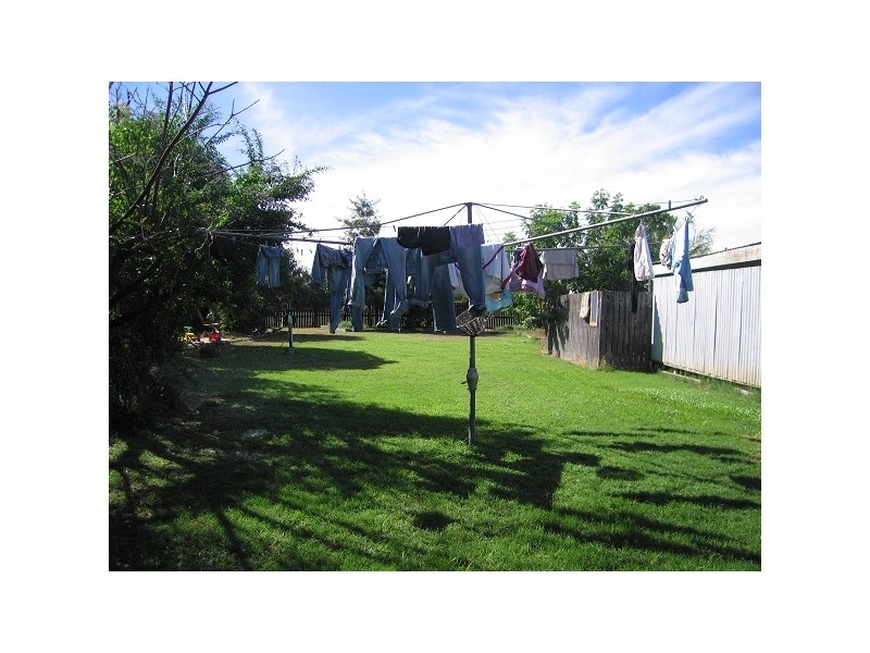 Dingo QLD 4702