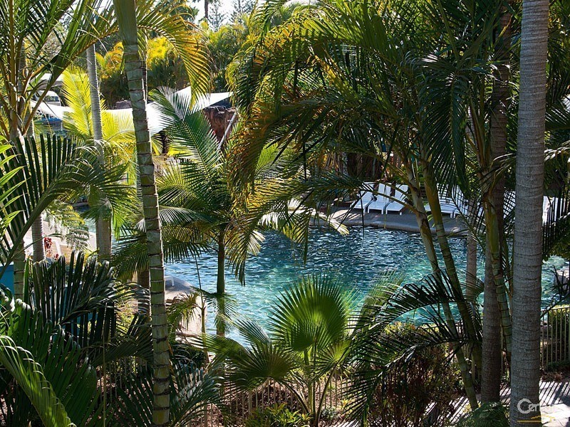 141/10 Alexandra Avenue, Mermaid Beach QLD 4218