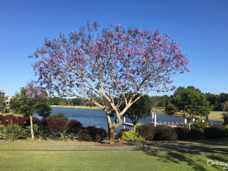 16 Nicklaus Court, Merrimac QLD 4226