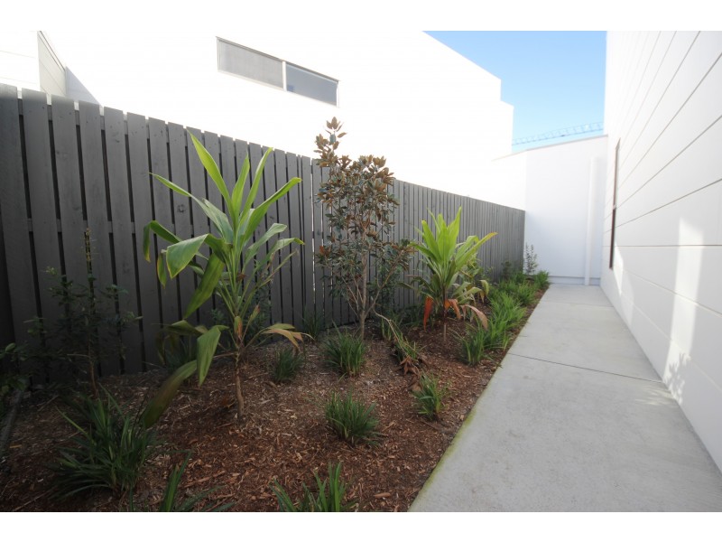 17 Brookyln Cresent, Robina QLD 4226