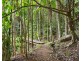 658 Tomewin Mountain Road, Currumbin Valley QLD 4223