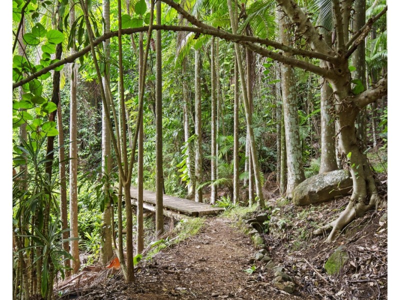 658 Tomewin Mountain Road, Currumbin Valley QLD 4223