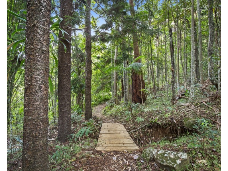 658 Tomewin Mountain Road, Currumbin Valley QLD 4223