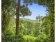 658 Tomewin Mountain Road, Currumbin Valley QLD 4223