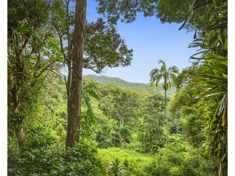 658 Tomewin Mountain Road, Currumbin Valley QLD 4223
