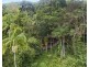 658 Tomewin Mountain Road, Currumbin Valley QLD 4223