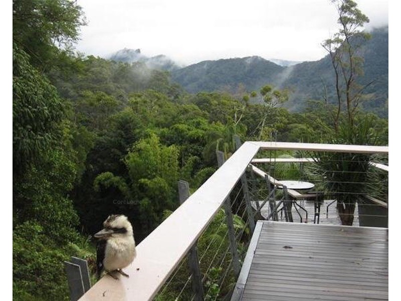 658 Tomewin Mountain Road, Currumbin Valley QLD 4223
