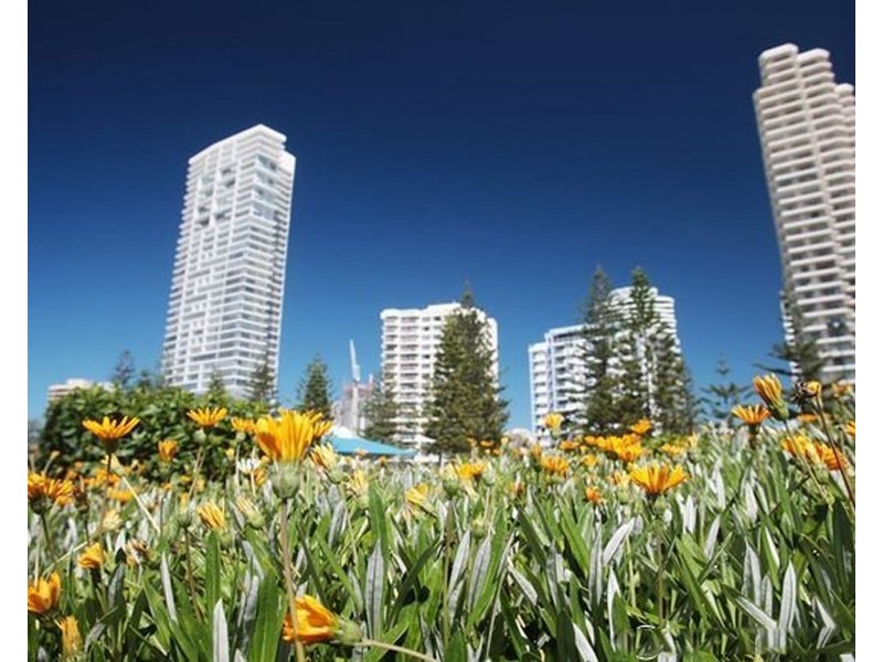 28/155 Old Burleigh Road, Broadbeach QLD 4218