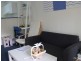 43 Cypress Avenue, Surfers Paradise QLD 4217