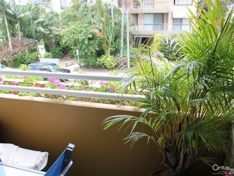 43 Cypress Avenue, Surfers Paradise QLD 4217