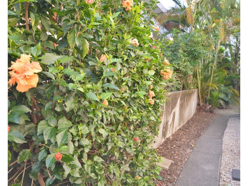 2/203 Scarborough Street, Southport QLD 4215