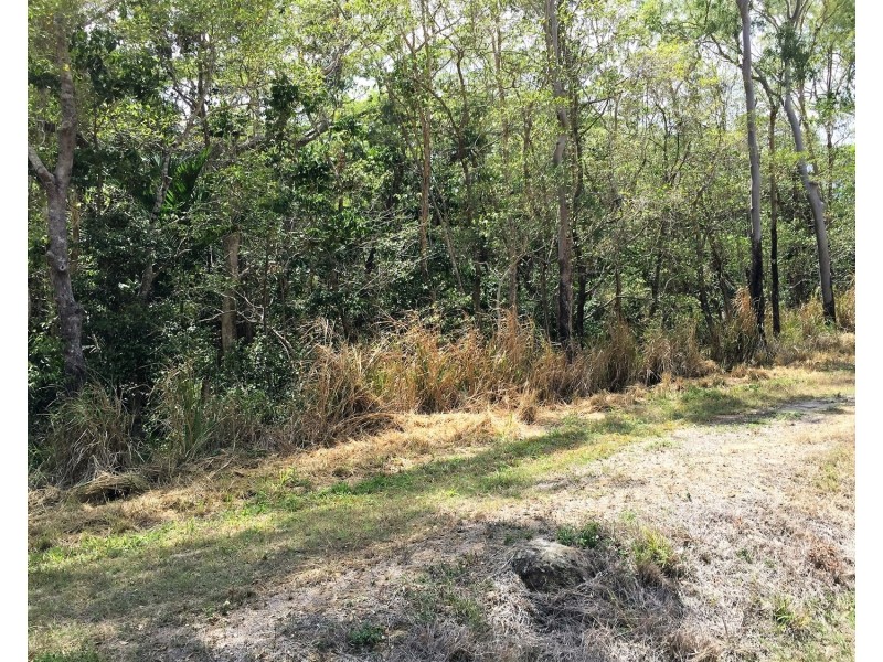Lot 3 Shute Harbour Road, Flametree QLD 4802