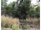 Lot 3 Shute Harbour Road, Flametree QLD 4802