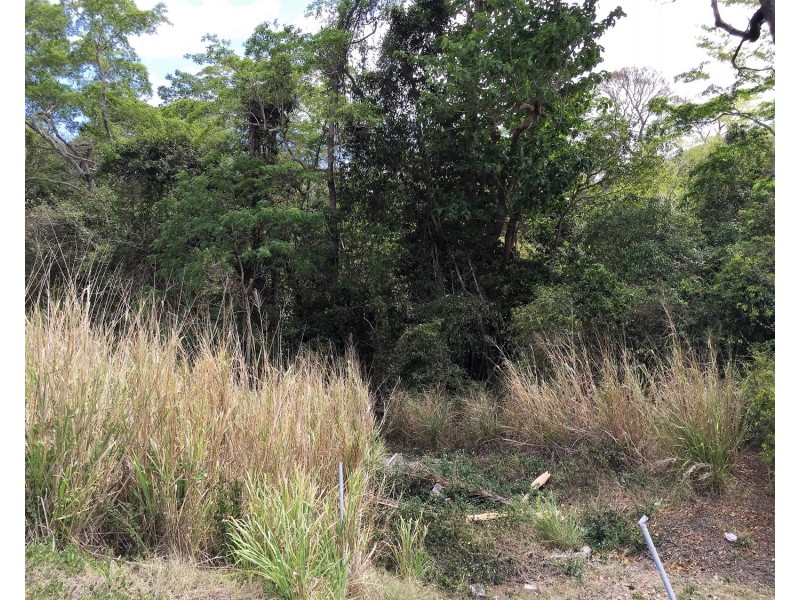 Lot 3 Shute Harbour Road, Flametree QLD 4802