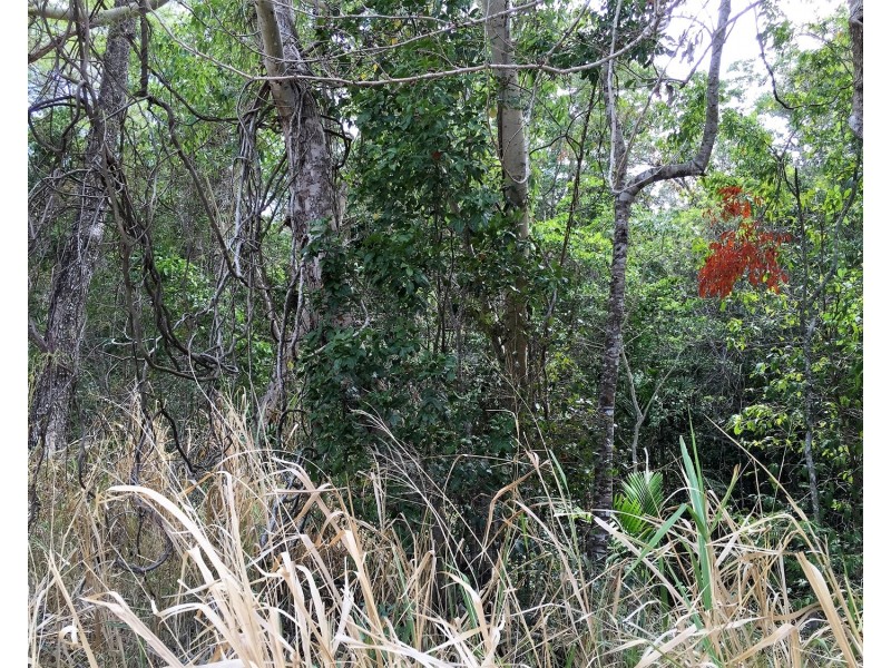 Lot 3 Shute Harbour Road, Flametree QLD 4802