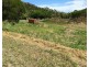 Lot 3 Shute Harbour Road, Whitsundays QLD 4802
