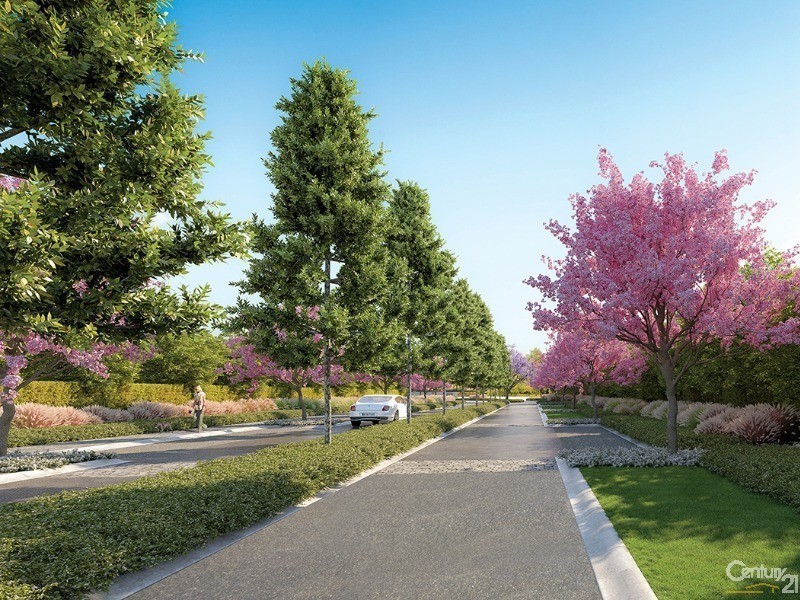 Biggera Waters QLD 4216