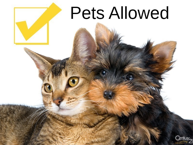 84 Pohlman Street, Southport QLD 4215