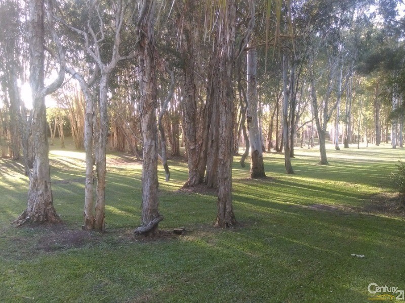 10 Tarni Street, Coombabah QLD 4216