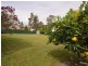 14 White Street, Nerang QLD 4211