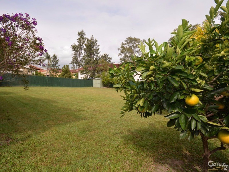 14 White Street, Nerang QLD 4211