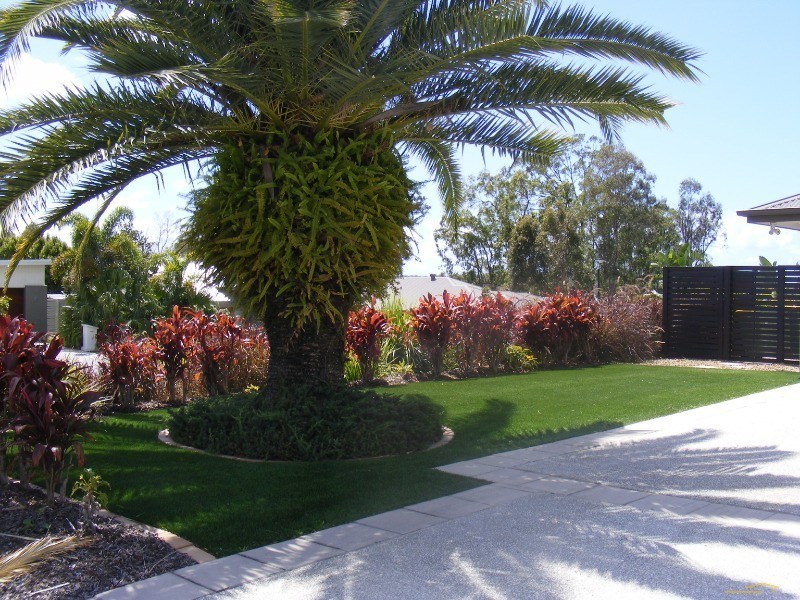 2 Conestoga Way, Upper Coomera QLD 4209