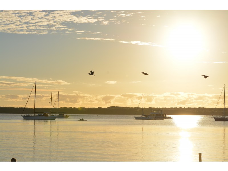 160 Turpin Road, Labrador QLD 4215