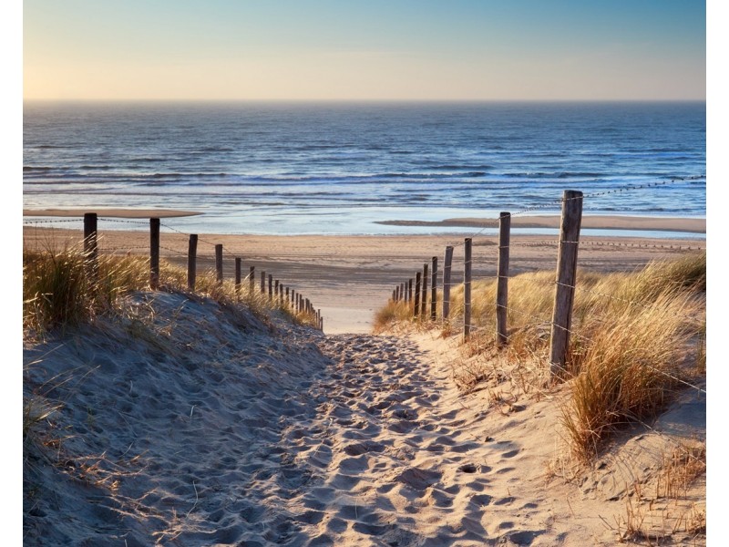 95 Old Burleigh Road, Broadbeach QLD 4218