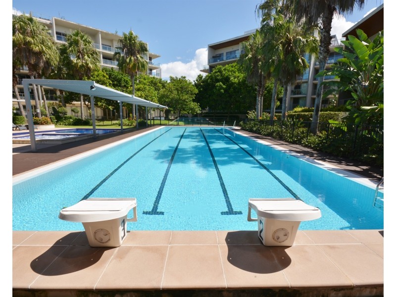 17 Olive/154  Musgrave Avenue, Southport QLD 4215