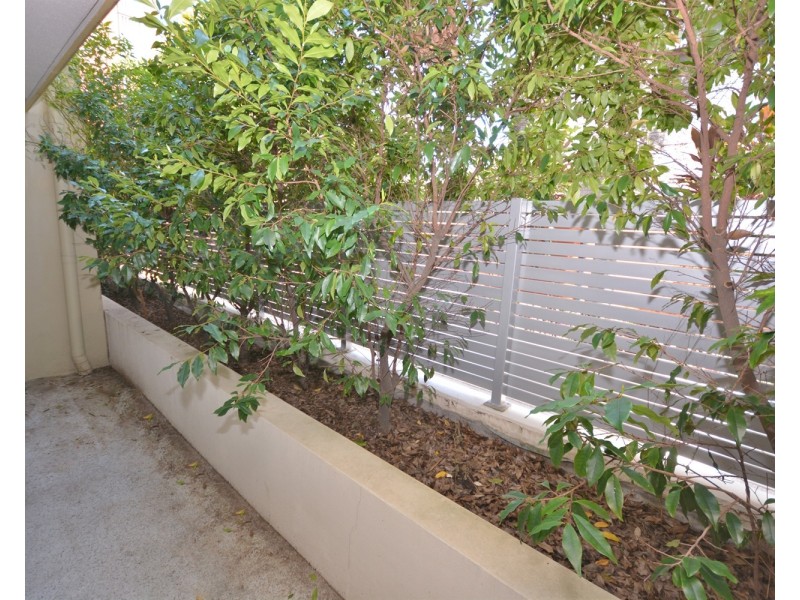 17 Olive/154  Musgrave Avenue, Southport QLD 4215