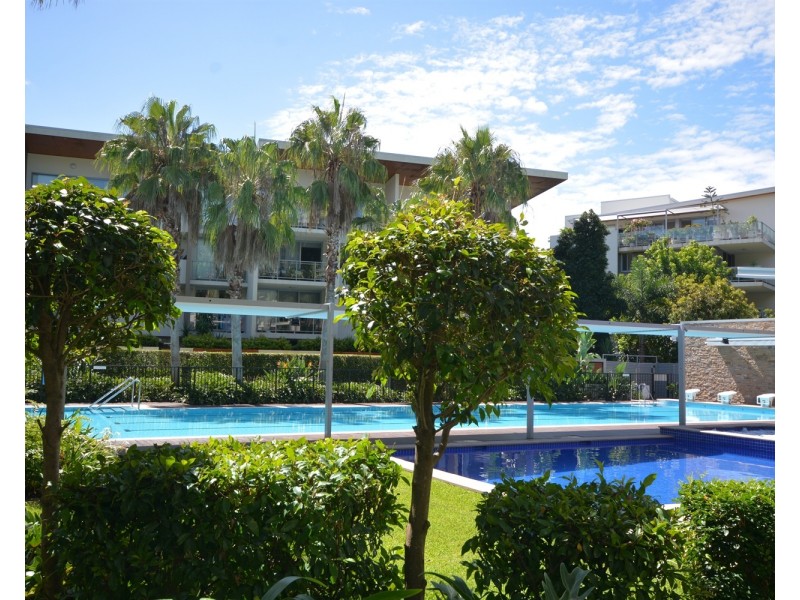 17 Olive/154  Musgrave Avenue, Southport QLD 4215