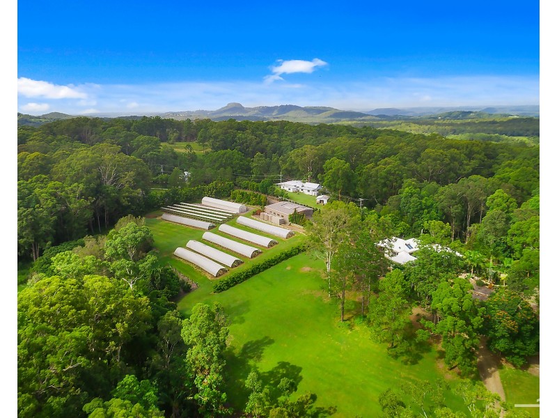 1114 Eumundi Noosa Road, Doonan QLD 4562