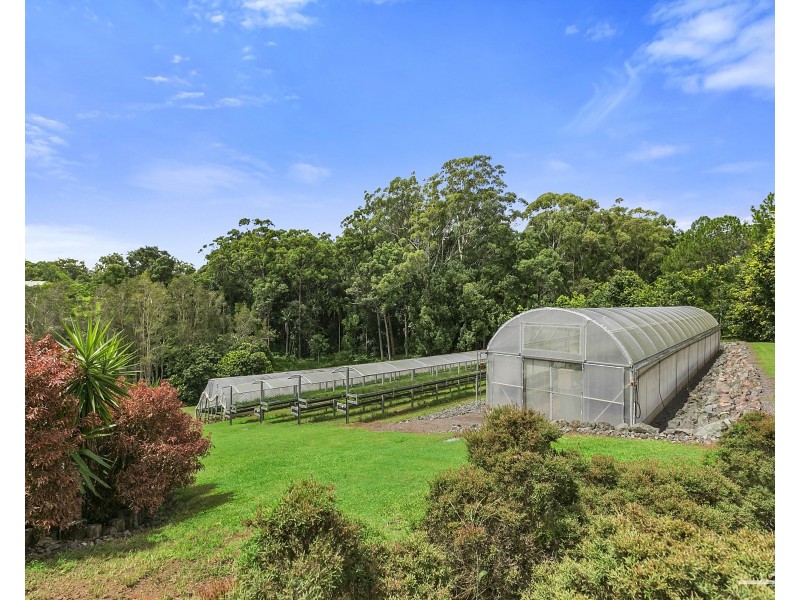 1114 Eumundi Noosa Road, Doonan QLD 4562