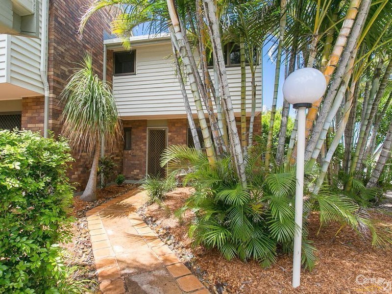 42/388 David Low Way, Peregian Beach QLD 4573