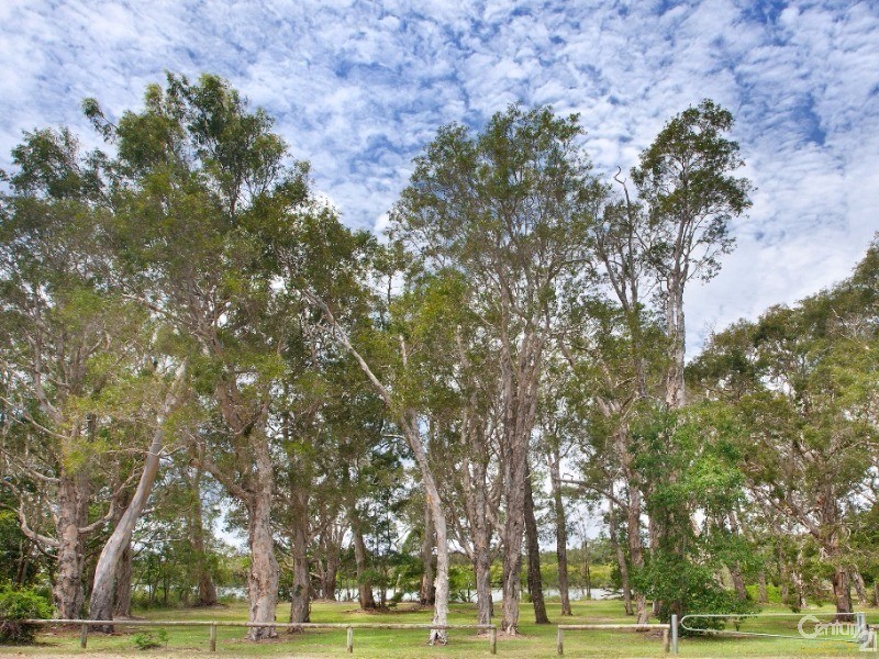 83 Weyba Road, Noosaville QLD 4566